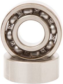 HOT RODS Counter Balancer Bearing Kit - Honda BBK0006