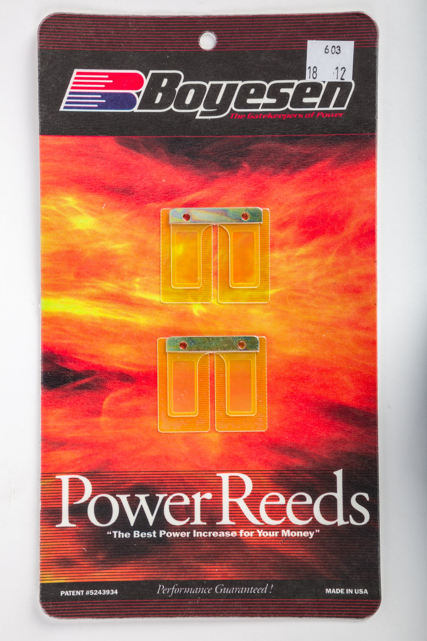 Motorcycle Reeds