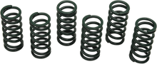 BARNETT Clutch Springs 501-82-06023