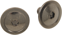 Z1R F.I. Visor Screws - Kit 0133-1110
