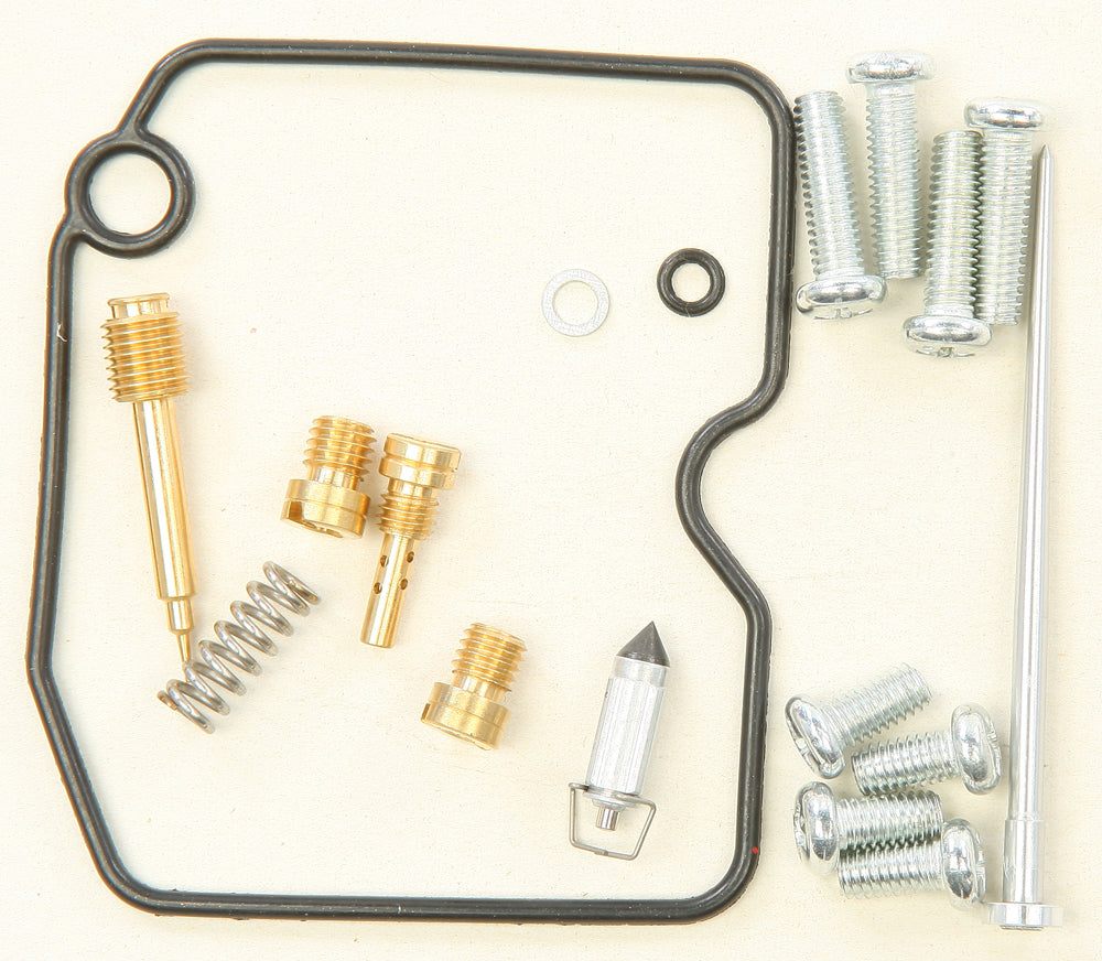 Carburetor Repair Kit