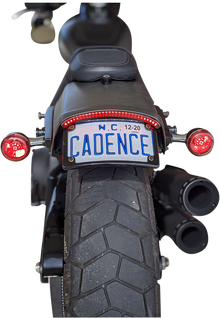 CUSTOM DYNAMICS LED Taillight with Turn Signal - Smoke CD-FATBOB-S