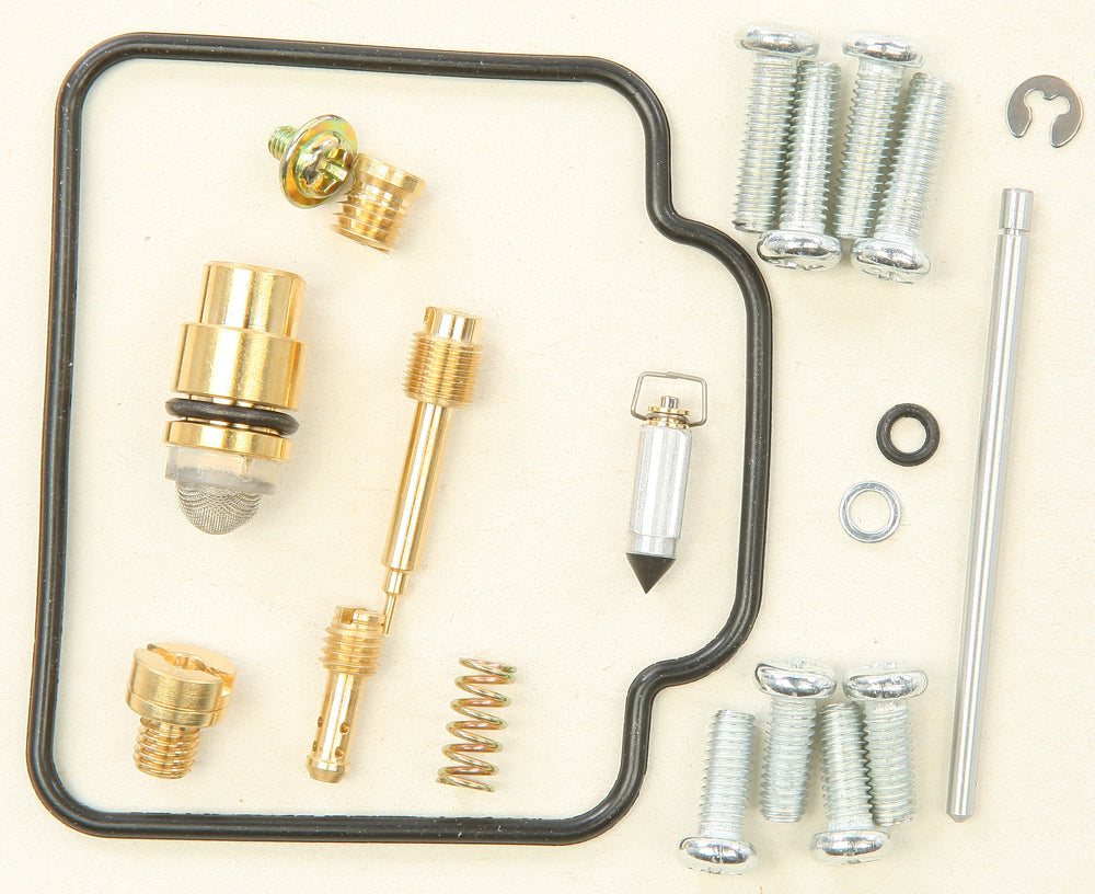 Bike Carburetor Rebuild Kit