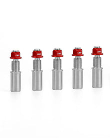 AEM FACTORY - TITIANUM STUDS AND ERGAL NUTS (SET OF 5) FOR DUCATI DUAL SIDED SWINGARM SPROCKET CARRIER