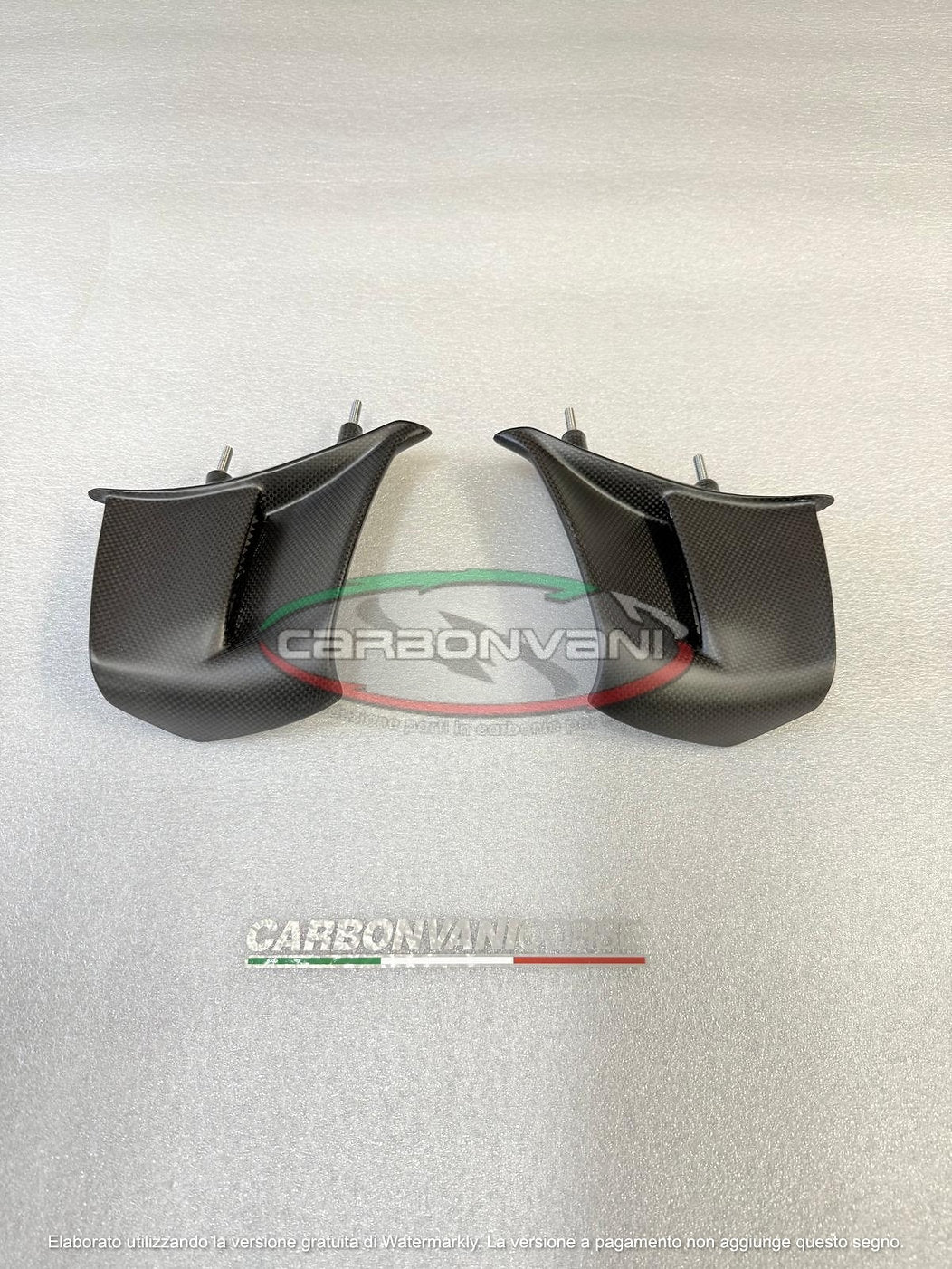 Carbonvani - Ducati Panigale V4 / S / R / SP Carbon Fiber Winglets (2025+)