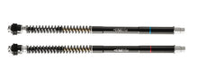 Matris F25SA "Sealed Asymmetric" Hydraulic Fork Cartridge Kit for the Triumph Daytona 660 (LG20) '2024