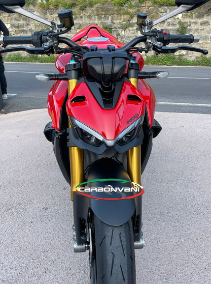 Carbonvani - Ducati Streetfighter V4 / V2 GP Style Carbon Fiber Winglet Kit (2 pieces)