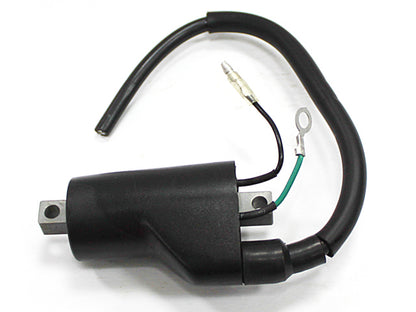 Atv Ignition Coil