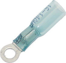 Ring Terminal Heat Sealable #8 16 14 25 Pk
