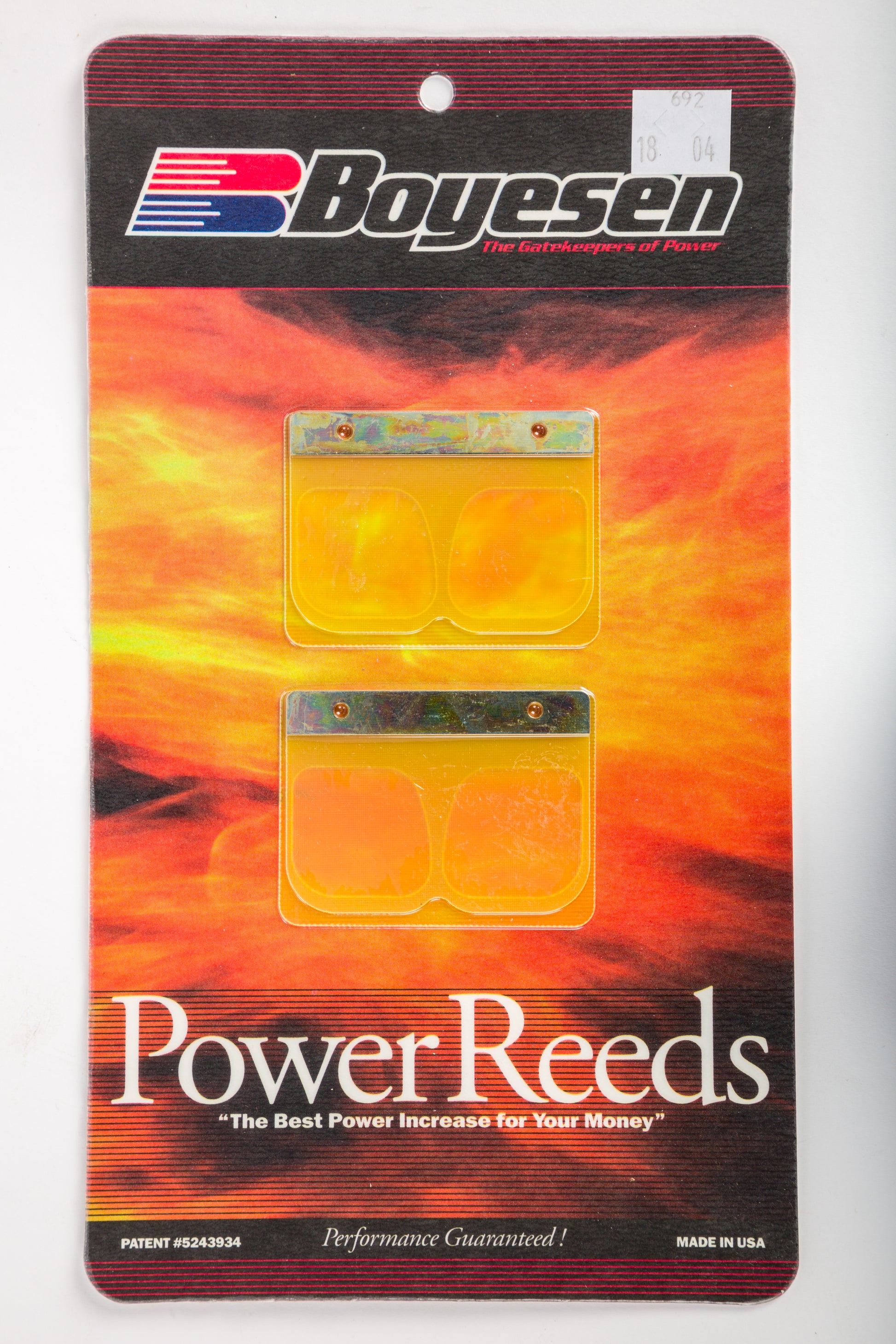 Motorcycle Reeds