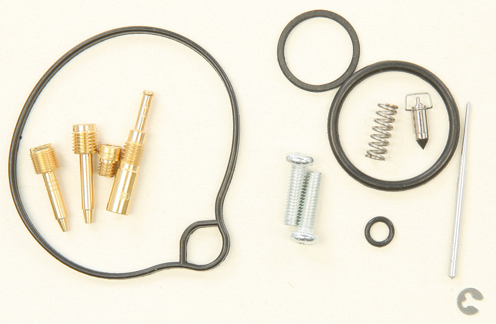 Carburetor Repair Kit