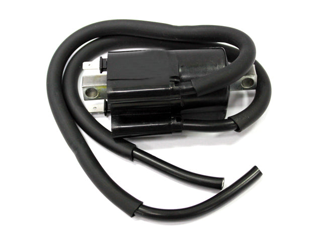 Atv Ignition Coil