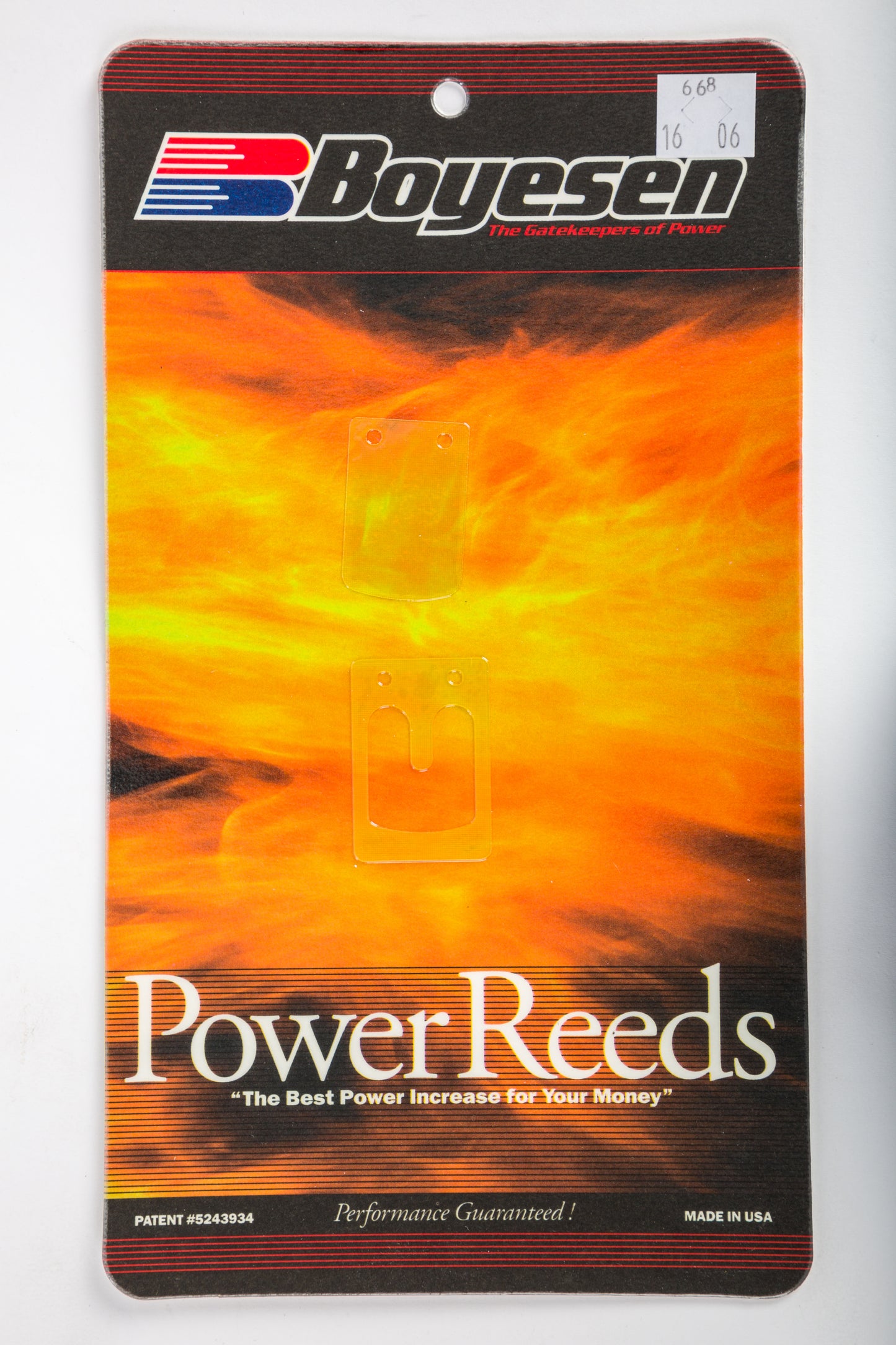 Motorcycle Reeds