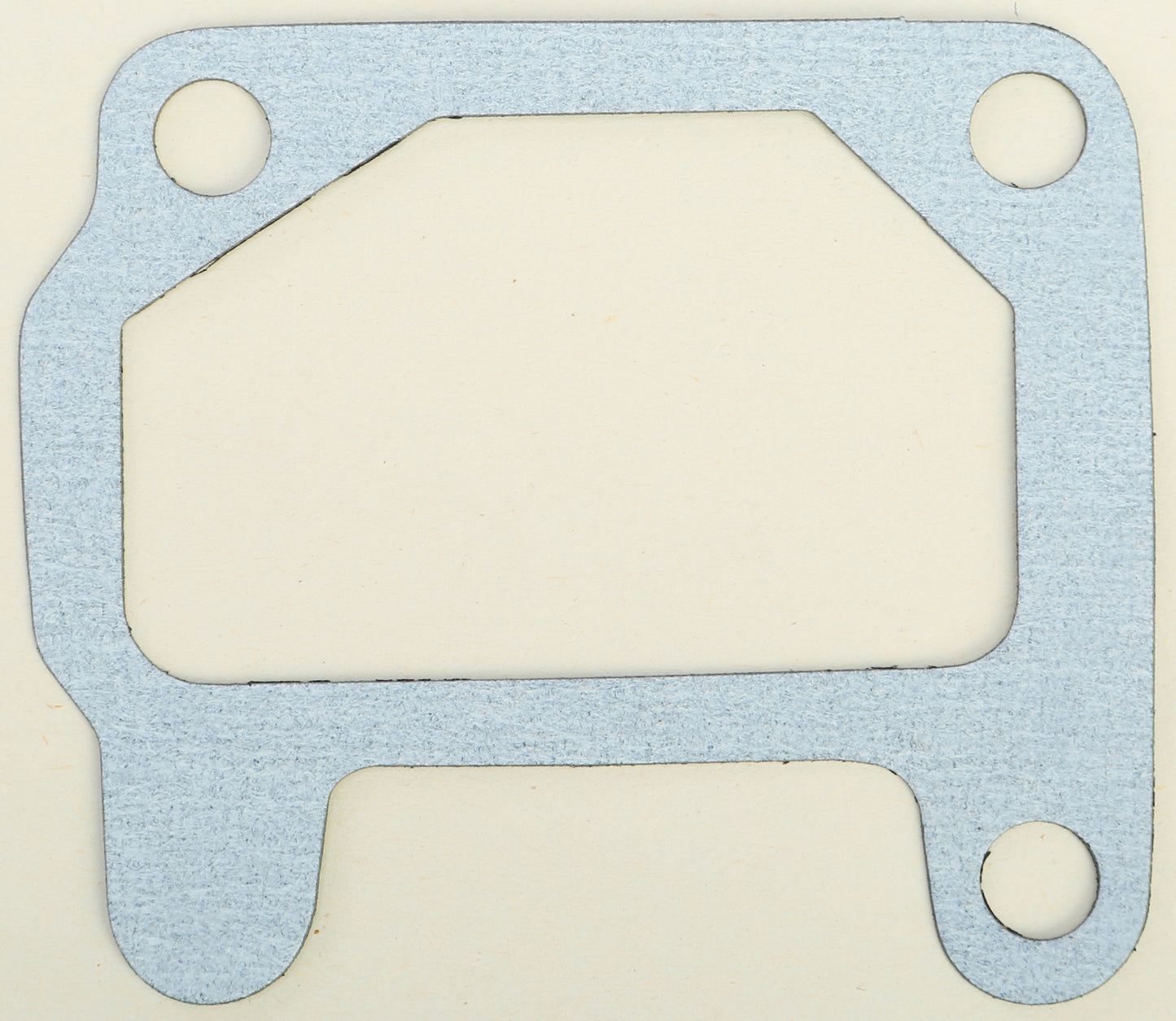 Intake Gasket