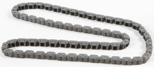 Cam Chain