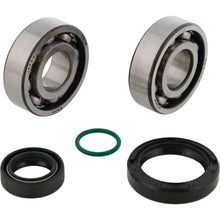 Crank Bearing Kit