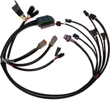 Complete Efi Harness 02 03