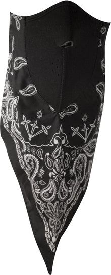 Neodanna Black Paisley