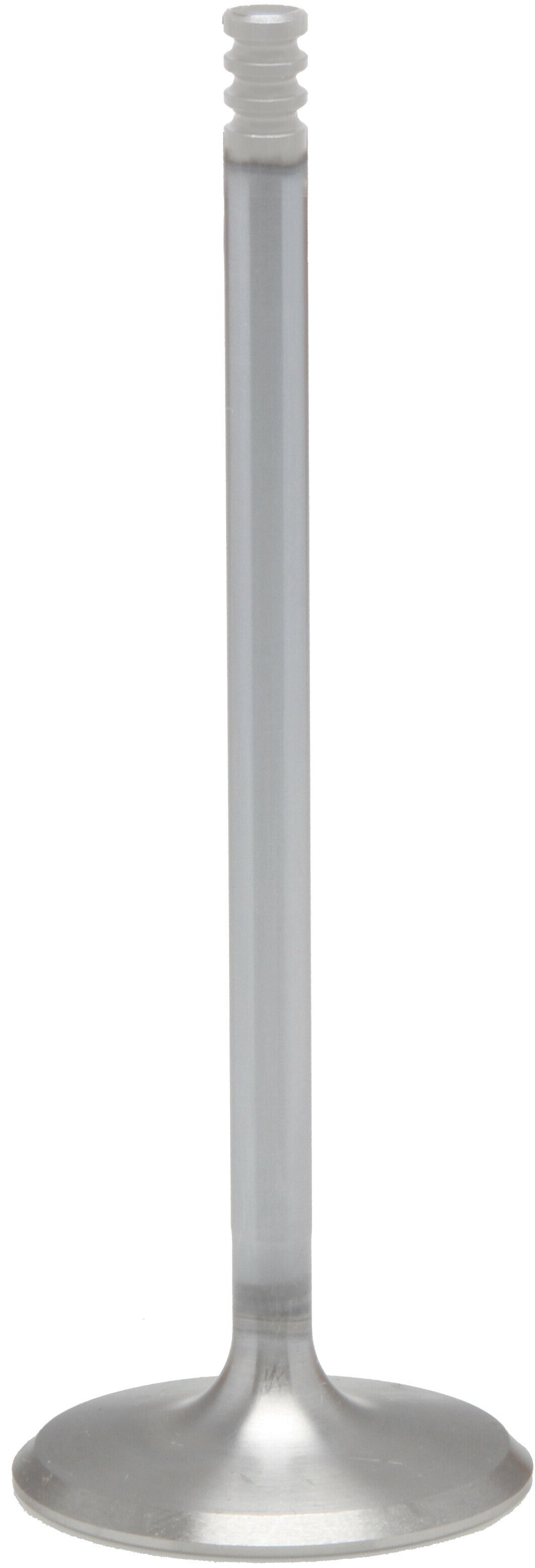 White Diamond Intake Valve M8 1.571 Std