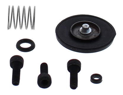 Accel. Pump Rebuild Kit