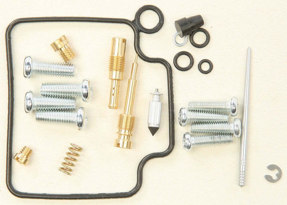 Carburetor Repair Kit