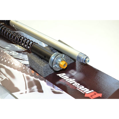 Ducabike Andreani 20mm Fork Cartridge Kit for Ducati Hyperstrada 821