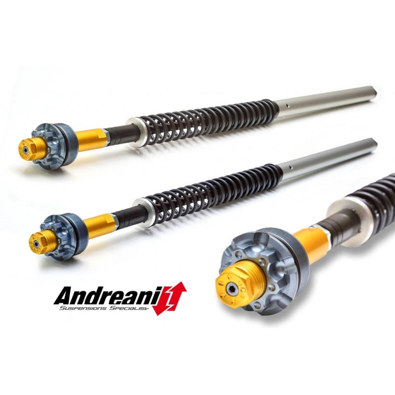 Ducabike Andreani 20mm Fork Cartridge Kit for Ducati Hyperstrada 821