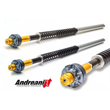 Ducabike Andreani 20mm Fork Cartridge Kit for Ducati Monster 696 with Showa Forks