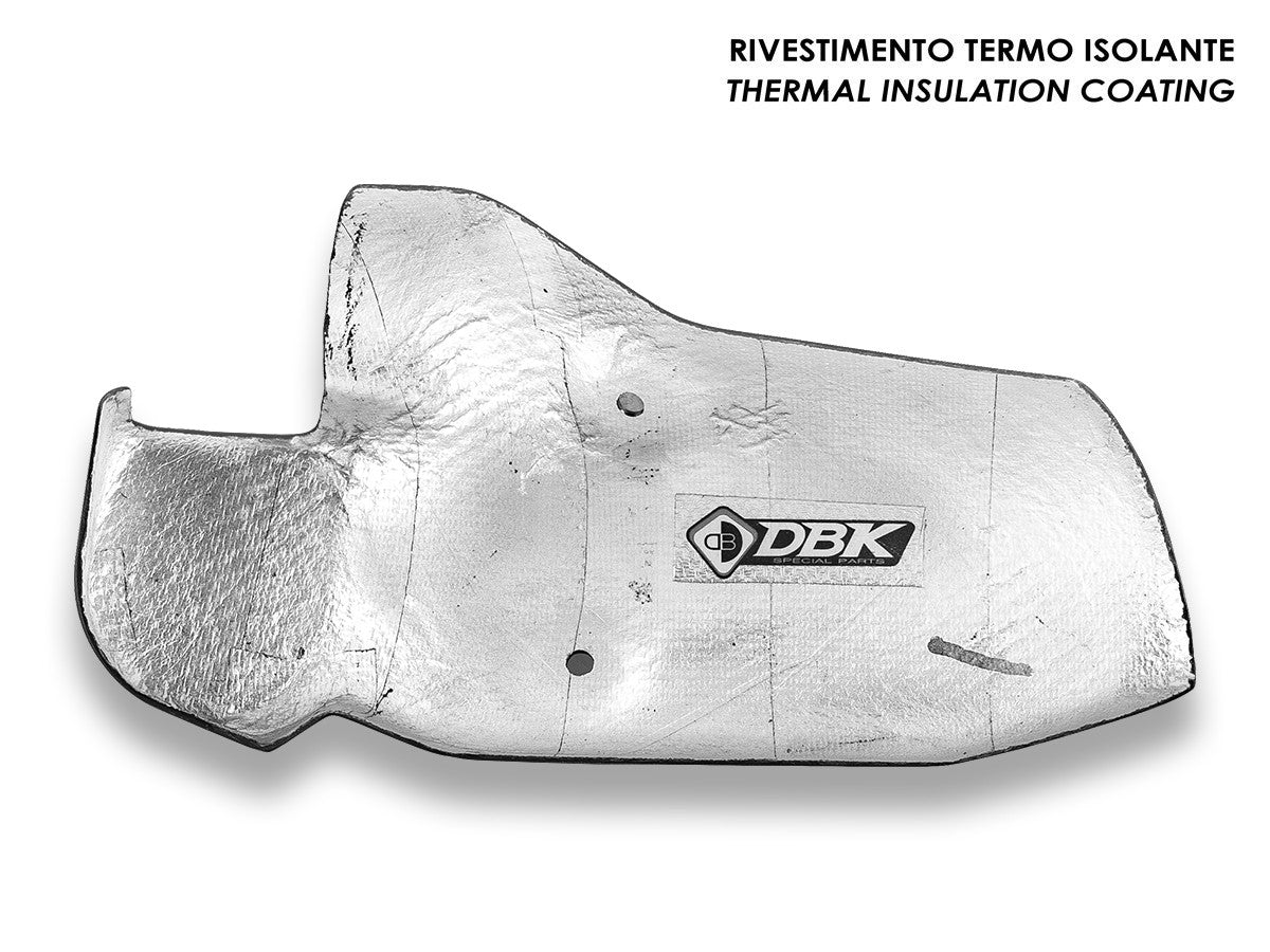 DBK Special Parts (Ducabike) Carbon Fiber Exhaust Guard for BMW R 1300 GS