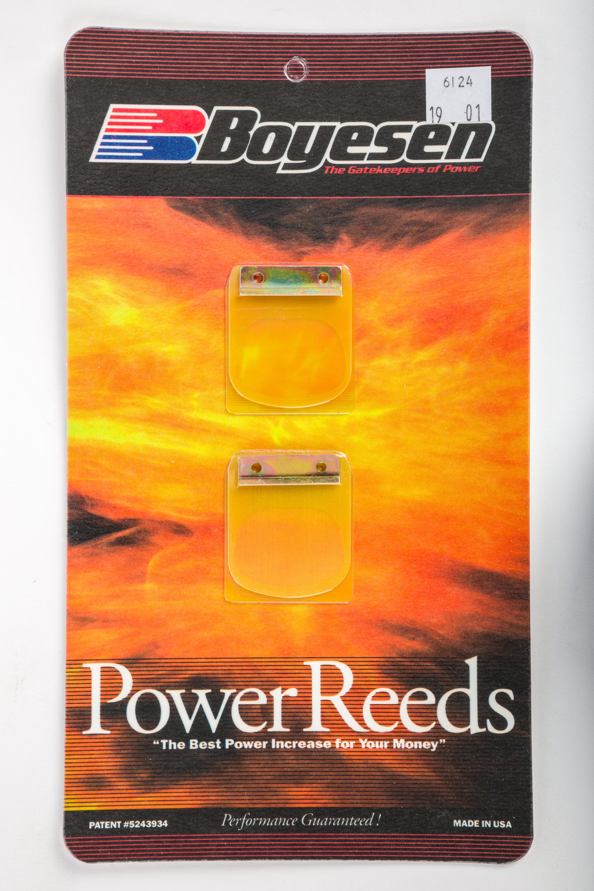 Motorcycle Reeds