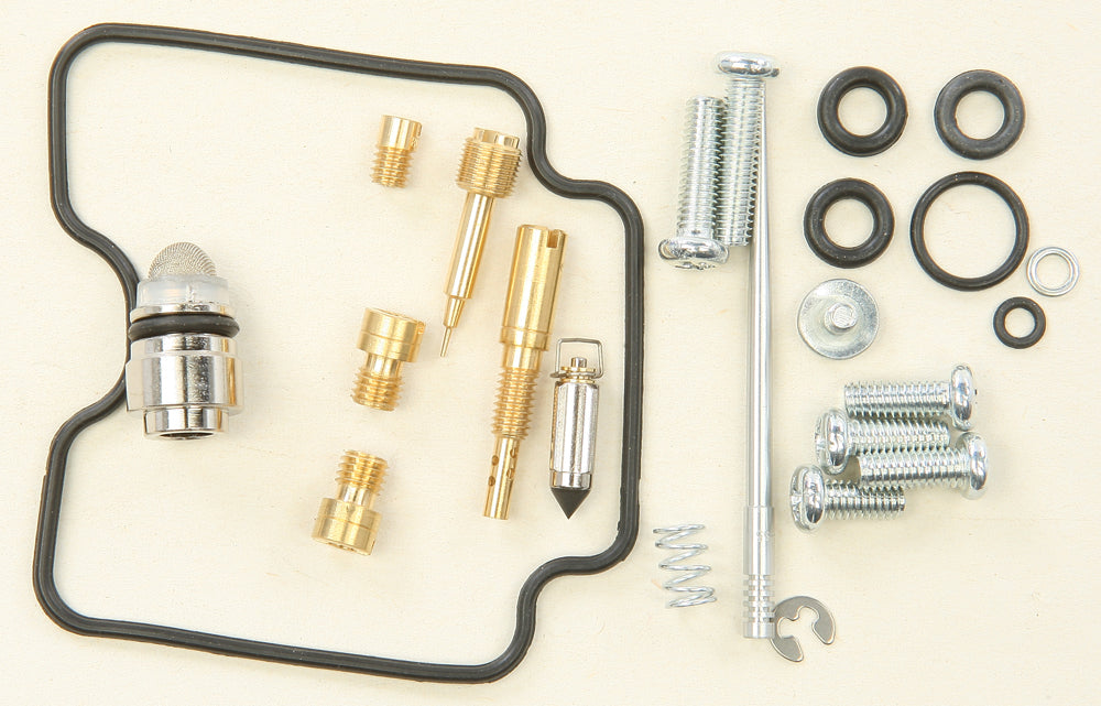 Carburetor Repair Kit