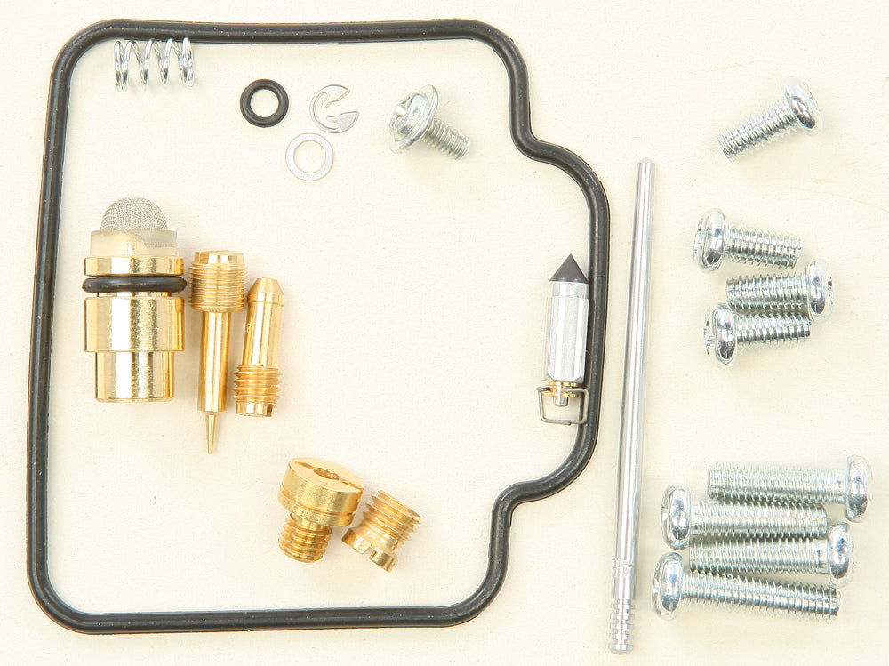 Carburetor Repair Kit