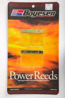 Motorcycle Reeds