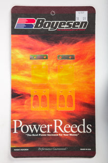 Motorcycle Reeds