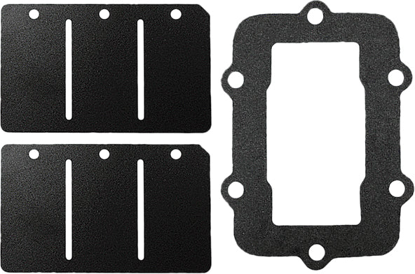 Reed Valve Rebuild Kit S D
