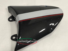 CARBONVANI - DUCATI XDIAVEL CARBON FIBER "LINE WHITE" ROUNDED TWIN TAIL (Solo Seat cowl)