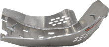 Skidplate Beta