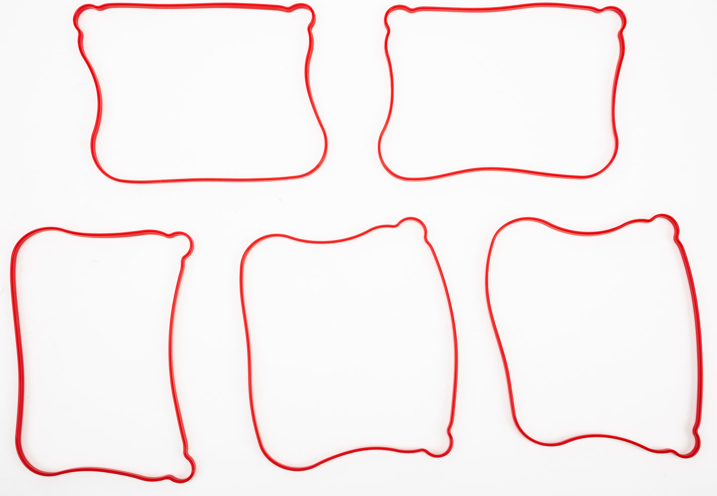 Gasket Rocker Cover Outer 5/Pk 17362 07