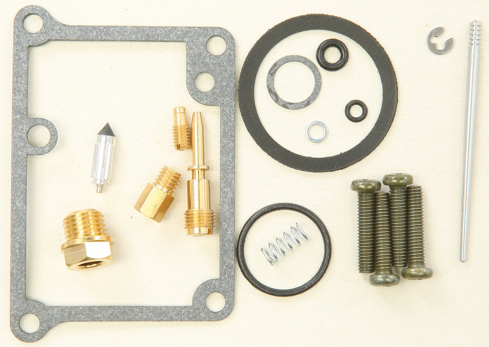 Bike Carburetor Rebuild Kit