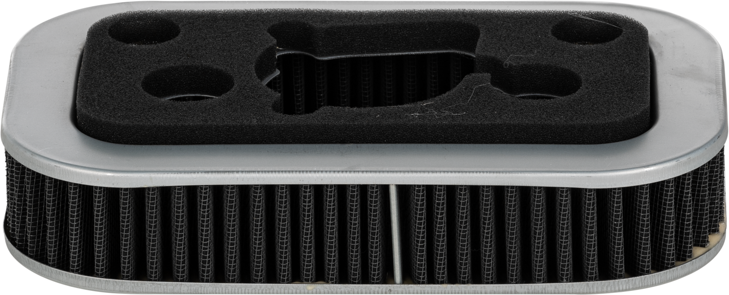 Performance Air Filter Repl OEM 29331 96/29036 88b