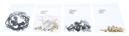 Bike Carburetor Rebuild Kit