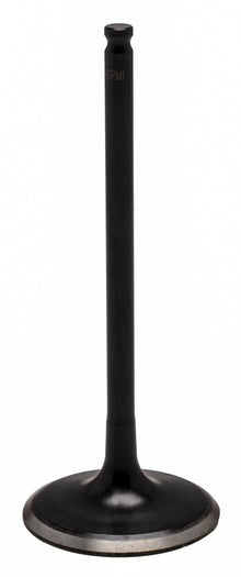 Black Diamond Intake Valve