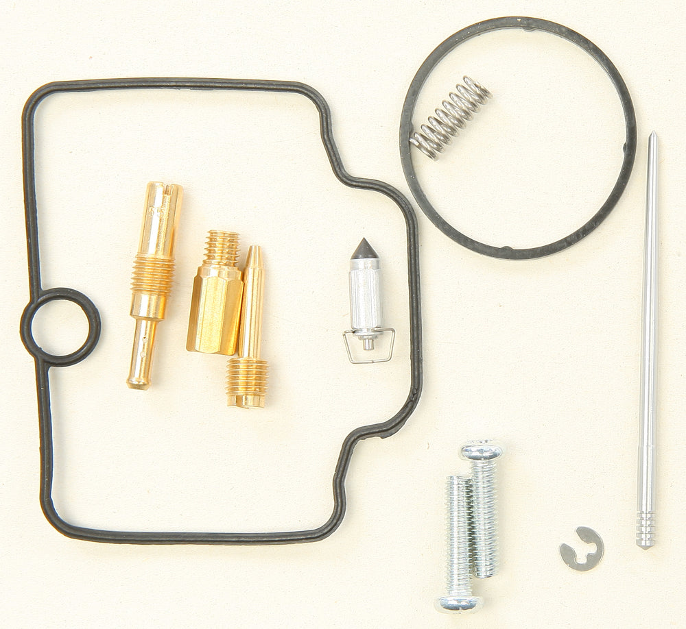 Bike Carburetor Rebuild Kit