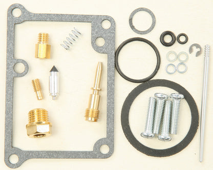 Bike Carburetor Rebuild Kit