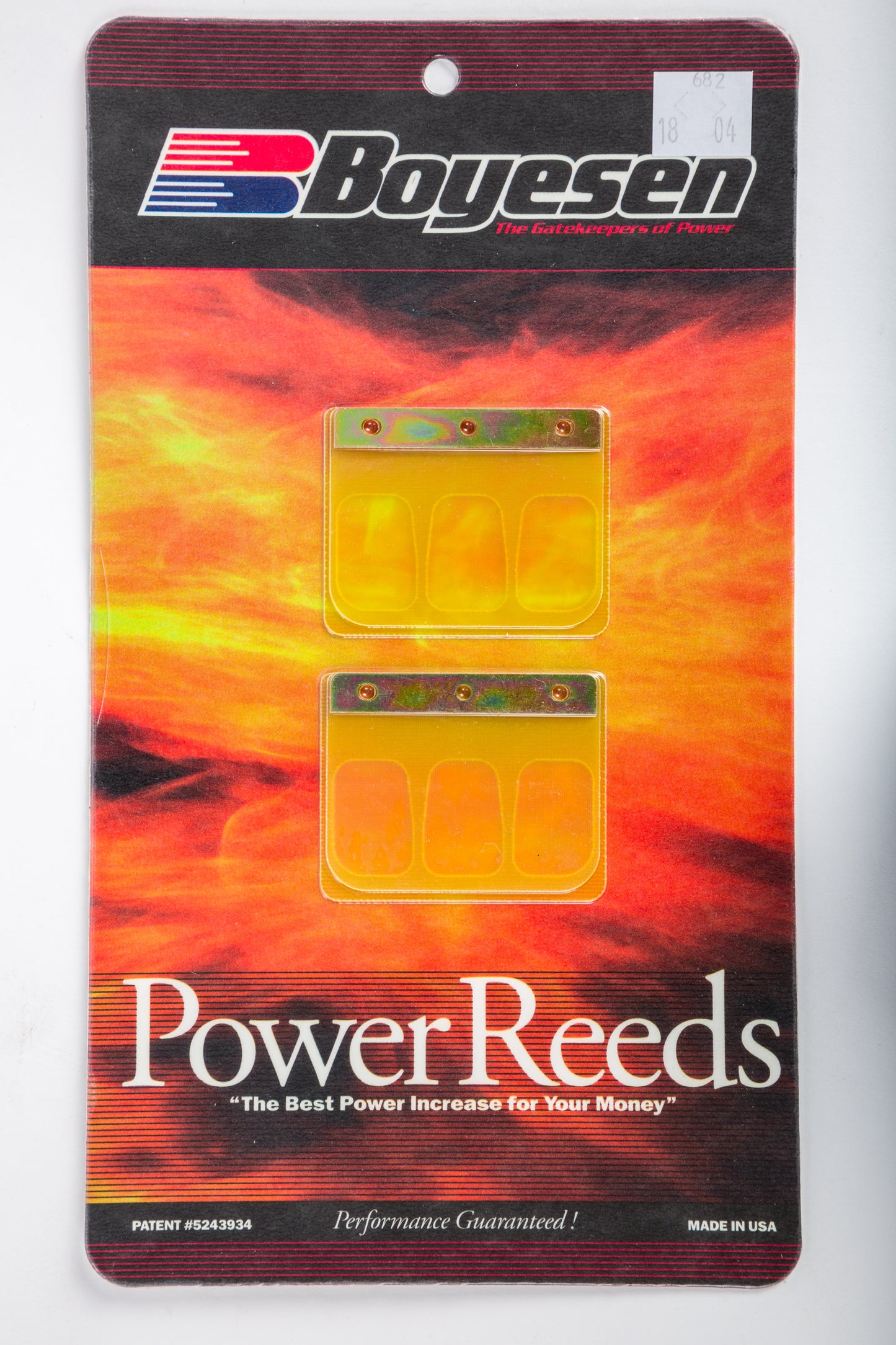 Motorcycle Reeds