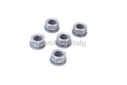Evotech Srl Billet Aluminum Flange Nuts or Sprocket Nuts for Ducati's (set of 5) M10x1.0
