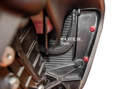 DBK Special Parts (Ducabike) Radiator Side Panel Screw Kit for the Ducati Diavel V4